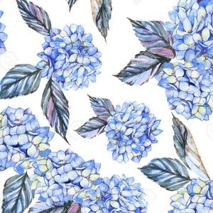 Meet your Posher, Rozita